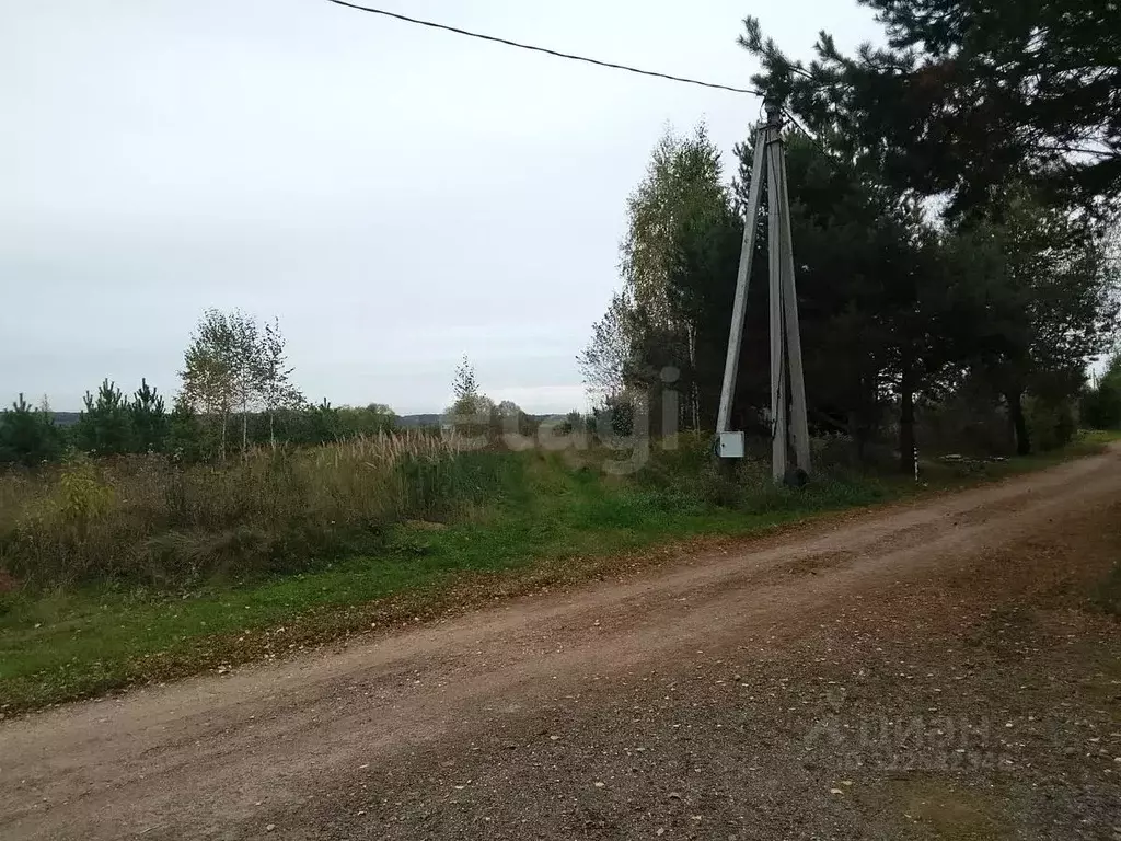 Участок в Калужская область, Дзержинский район, Дворцы с/пос, д. ... - Фото 2