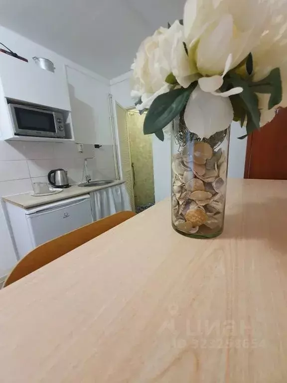 Студия Санкт-Петербург Кубинская ул., 54 (12.0 м) - Фото 1