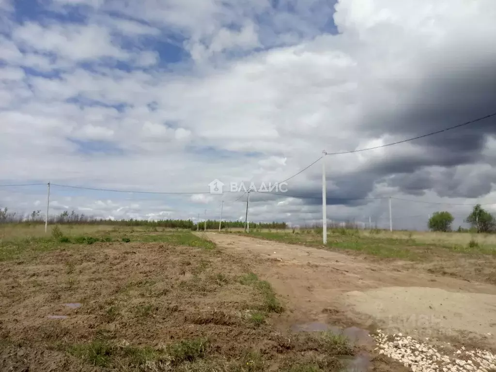 Участок в Владимирская область, Судогодский район, д. Овсянниково 29 ... - Фото 2