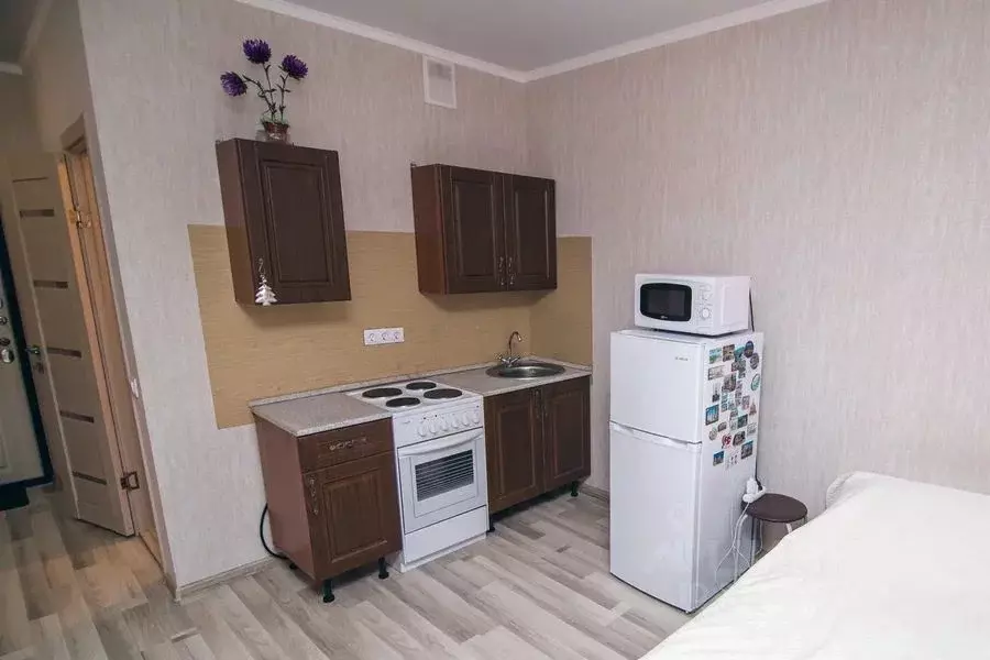 Студия Ростовская область, Ростов-на-Дону ул. Ткачева, 22 (25.0 м) - Фото 0