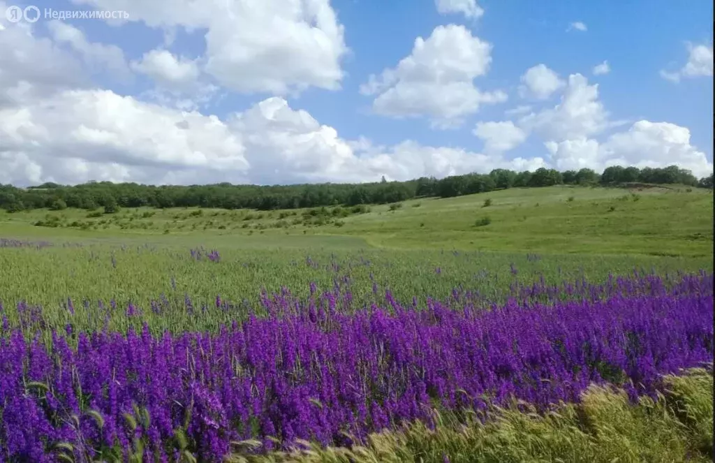 Дом в Симферопольский район, село Урожайное (90 м) - Фото 2