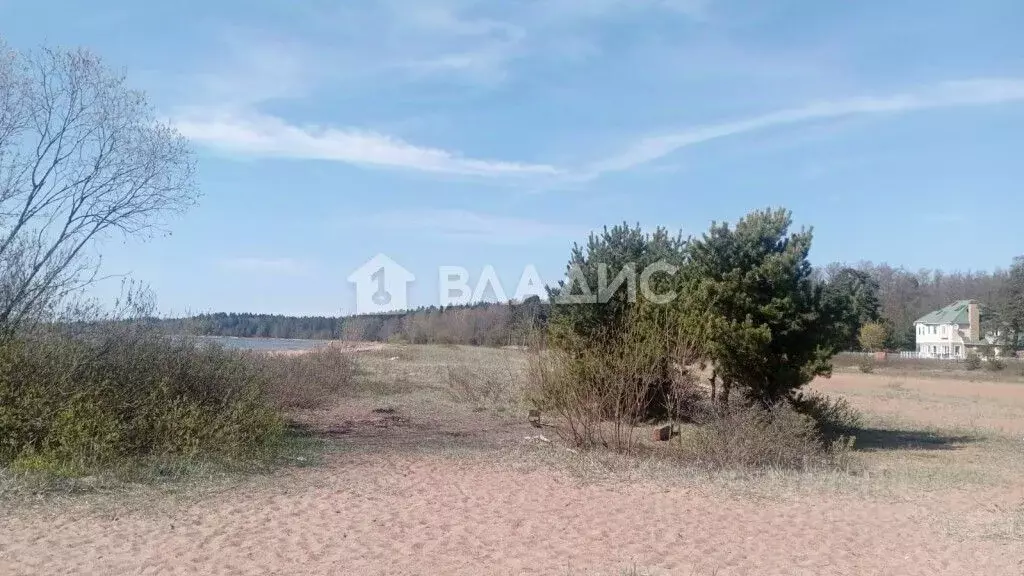 Участок в Санкт-Петербург, Санкт-Петербург, Сестрорецк ул. Старая, 7 ... - Фото 2