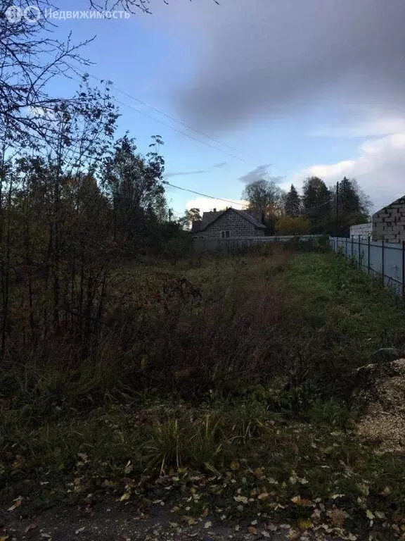 Участок в Волосовский район, Калитинское сельское поселение, посёлок ... - Фото 2