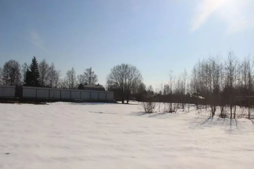 Участок в Московская область, Шаховская муниципальный округ, д. ... - Фото 1