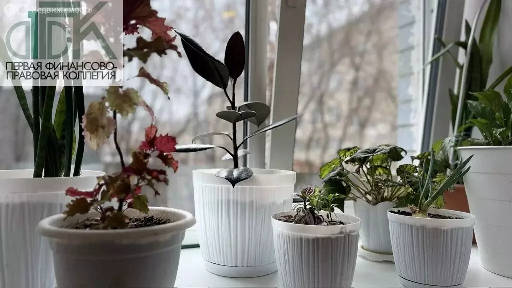 1-комнатная квартира: Арзамас, проспект Ленина, 214 (37.4 м) - Фото 1