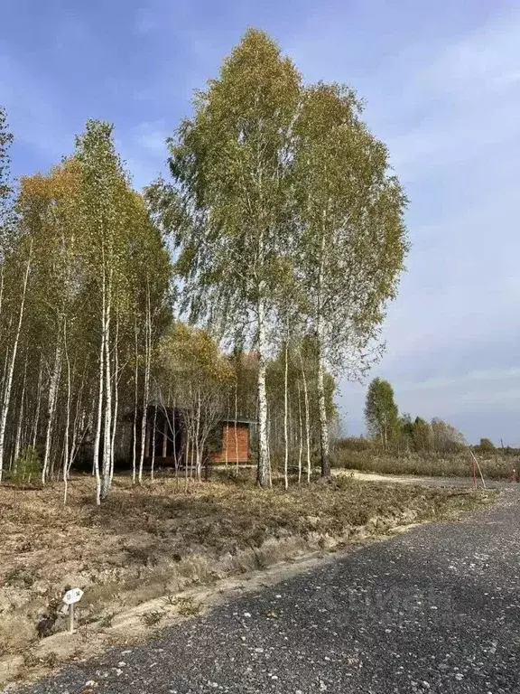 Участок в Тюменская область, Нижнетавдинский муниципальный округ, ... - Фото 1