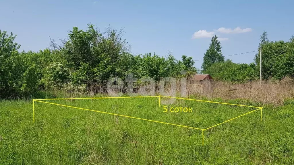 Участок в Брянская область, Брянский район, Снежское с/пос, с. ... - Фото 1