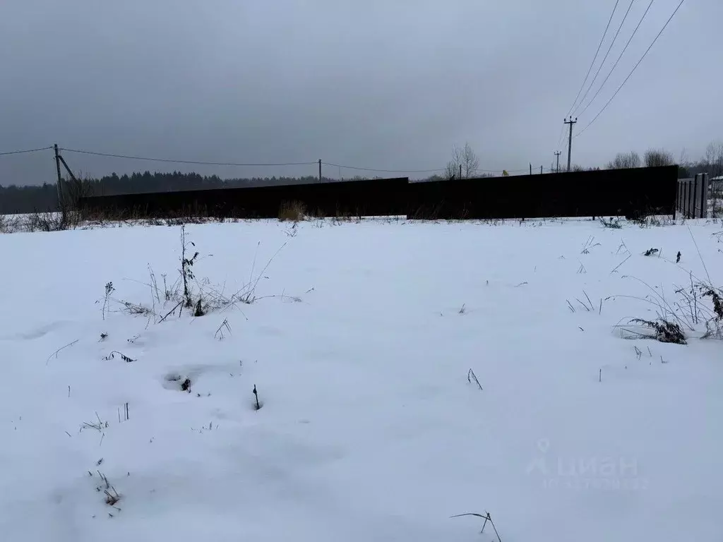 Участок в Московская область, Пушкинский городской округ, д. Никулино  ... - Фото 0