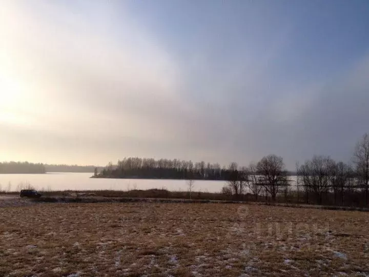 Участок в Новгородская область, Валдайский район, Ивантеевское с/пос, ... - Фото 0