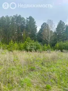Участок в Бессоновка, Сиреневая улица, 22 (2.27 м) - Фото 1