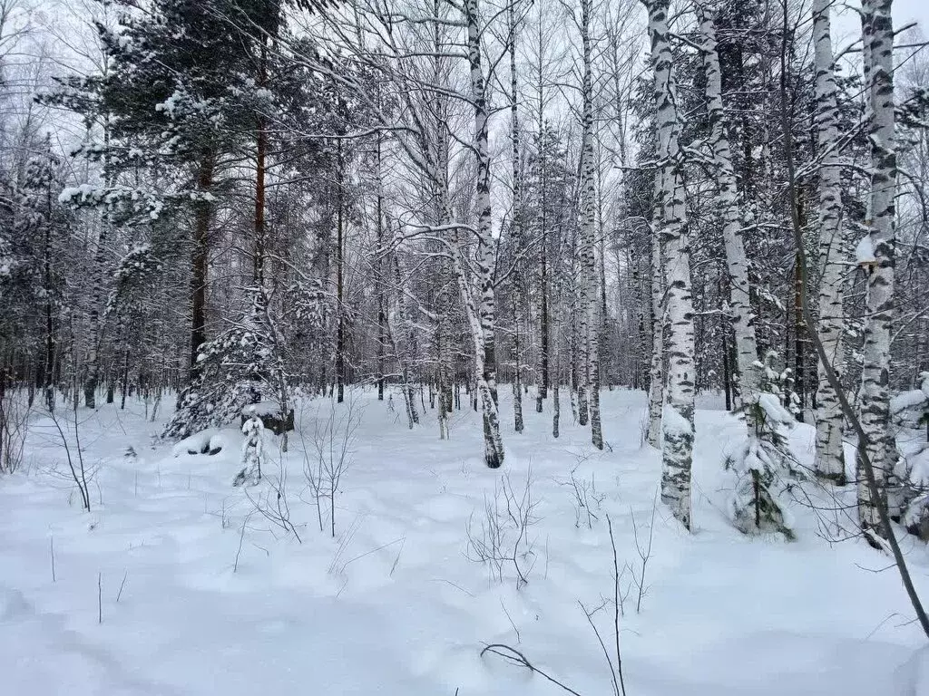 Участок в посёлок Сурок, Заозёрная улица (22.99 м) - Фото 0