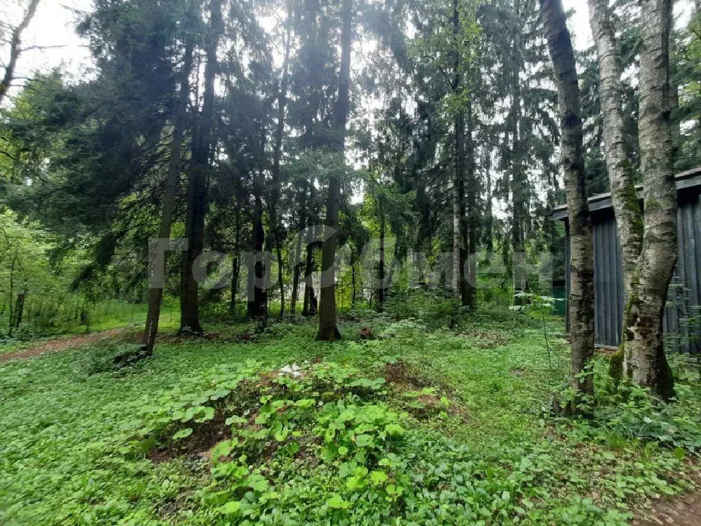 Продается участок в г. Лобня - Фото 1