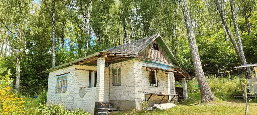 Дом в Брянская область, Брянский район, Мичуринское с/пос, Строитель ... - Фото 0