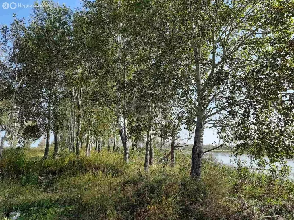 Участок в Тюменский район, село Борки (65 м) - Фото 0