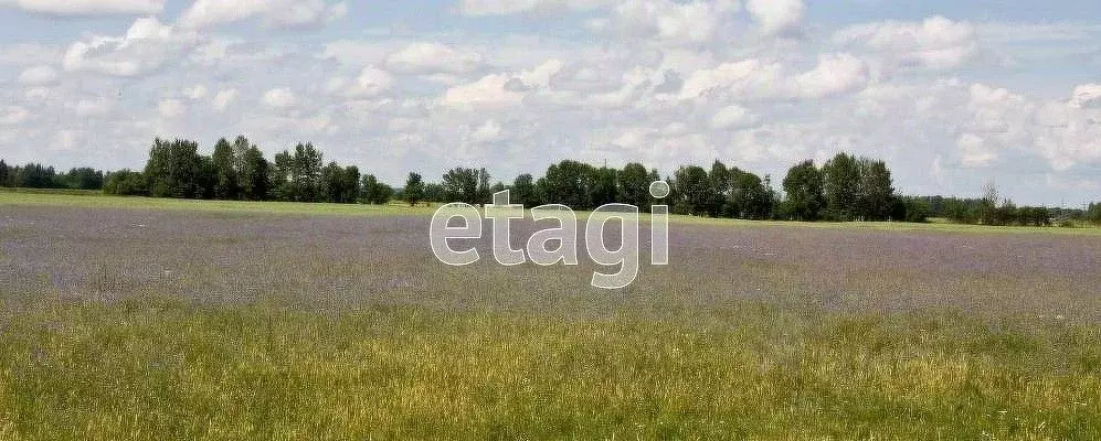 Участок в Калужская область, Перемышль с/пос, д. Жашково  (15.0 сот.) - Фото 2