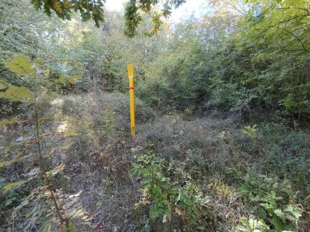 Участок в Крым, Алушта муниципальный округ, пос. Лаванда, Заречный мкр ... - Фото 2