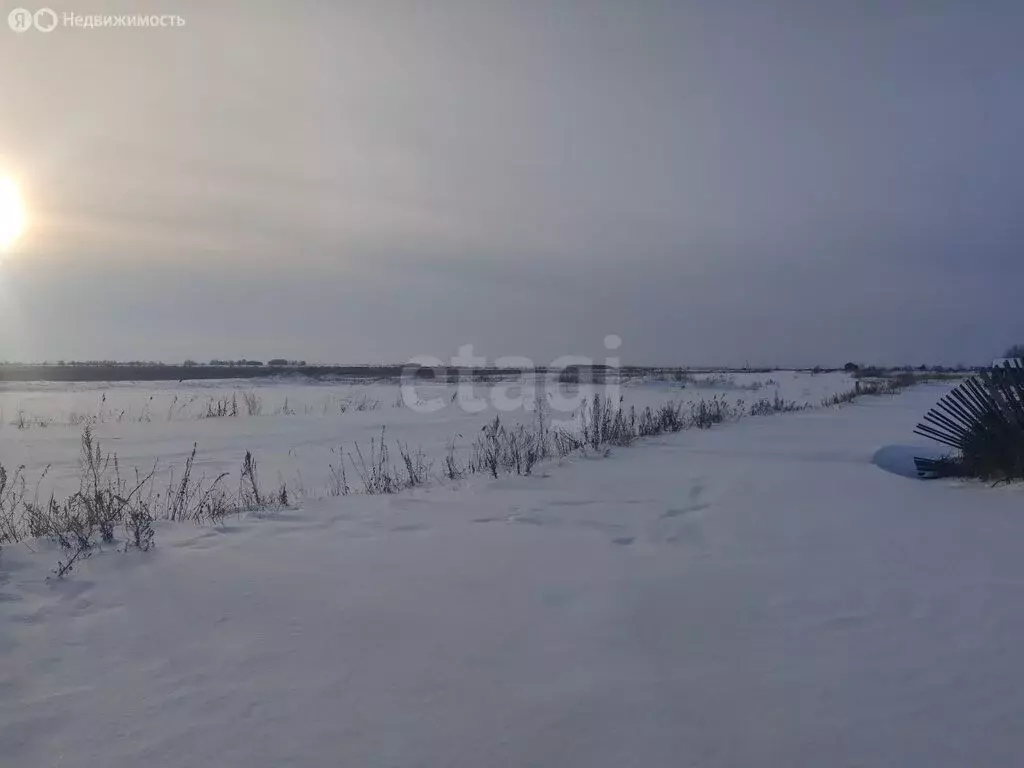 Участок в Курган, СНТ Озеро Бездонное, Луговая улица (7.5 м) - Фото 2