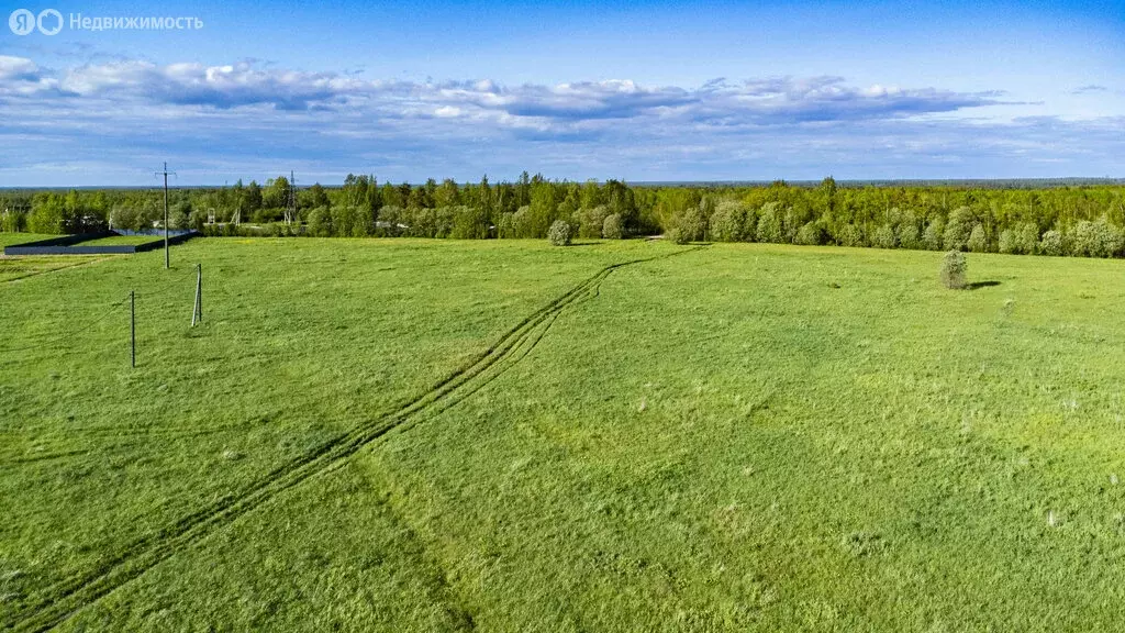 Участок в Рахьинское городское поселение, массив Ириновка (7 м) - Фото 1