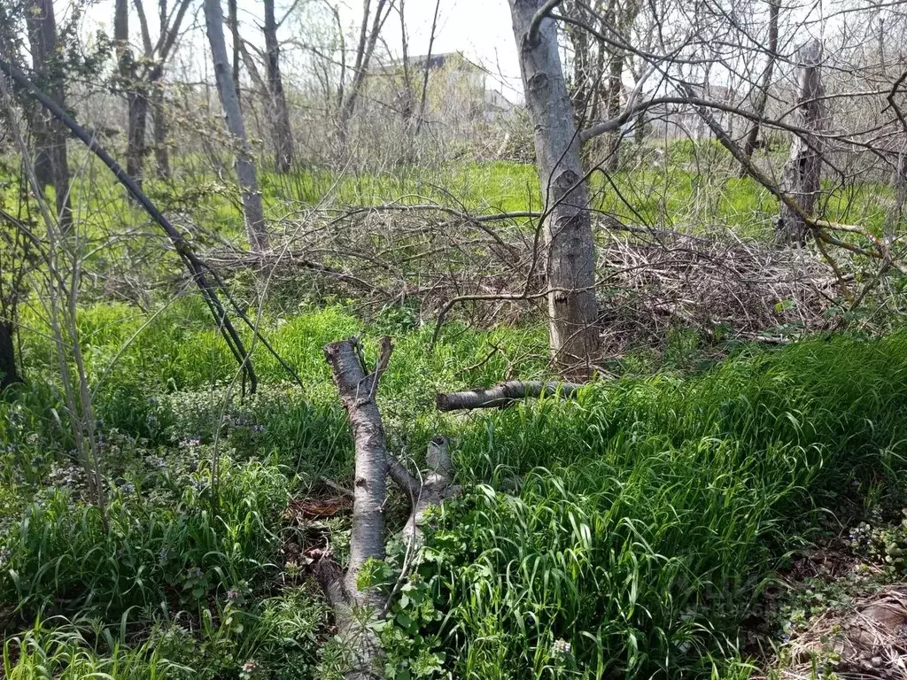 Участок в Краснодарский край, Темрюк Комсомольская ул., 8 (10.0 сот.) - Фото 1