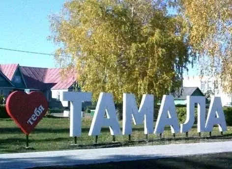 Дом в Пензенская область, Тамала рп ул. Пионерская, 39 (56 м) - Фото 1
