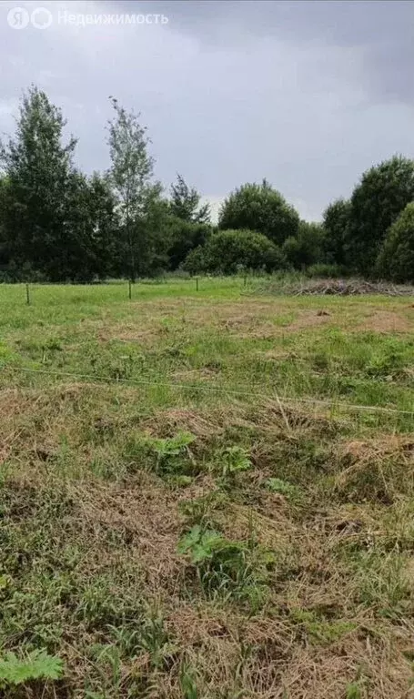 Участок в Ярославский муниципальный округ, деревня Сосновцы (20 м) - Фото 1