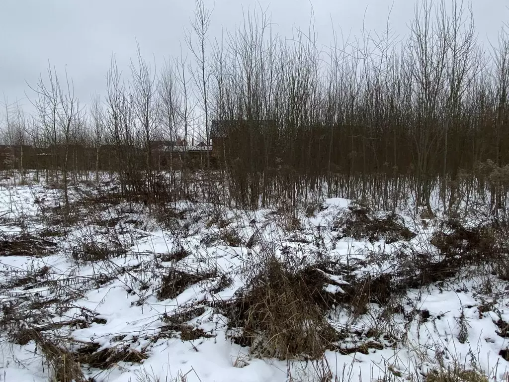 Участок в Московская область, Подольск городской округ, д. Булатово ... - Фото 0