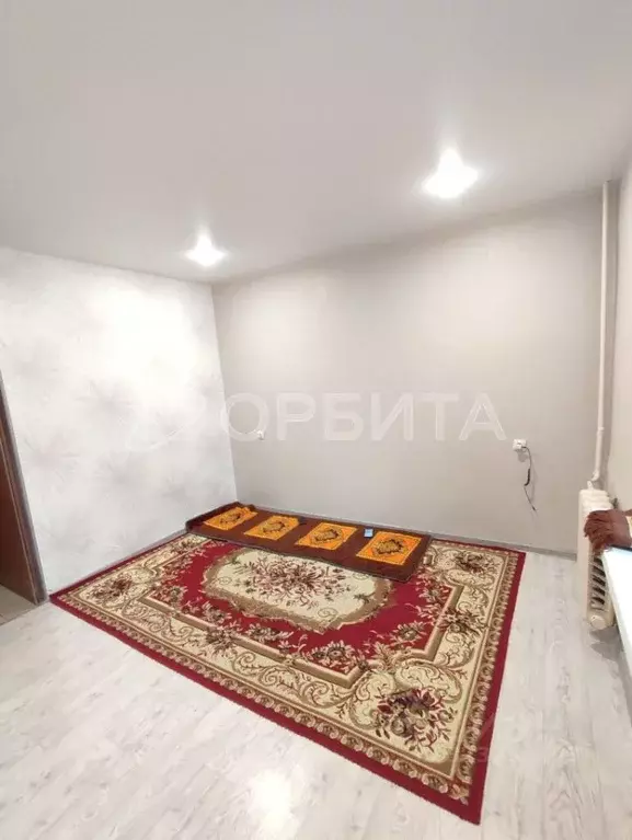 Студия Тюменская область, Тюмень ул. 30 лет Победы, 109 (16.5 м) - Фото 1