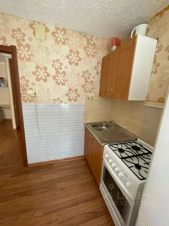 1-к кв. Новосибирская область, Новосибирск ул. Блюхера, 48 (30.0 м) - Фото 1