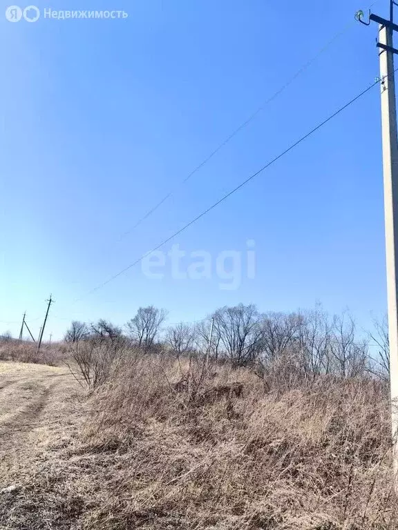 Участок в Приморский край, Анучинский муниципальный округ, село ... - Фото 1