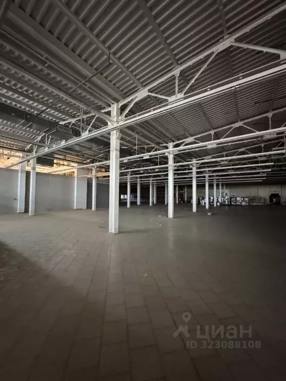 Торговая площадь в Удмуртия, Ижевск Воткинское ш., 178А (3600 м) - Фото 2