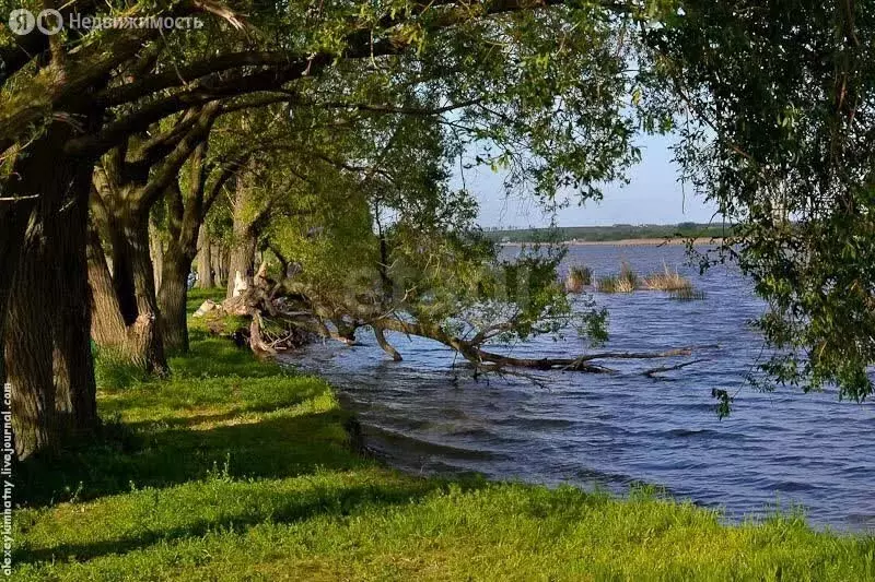 Участок в Неклиновский район, Самбекское сельское поселение, хутор ... - Фото 2