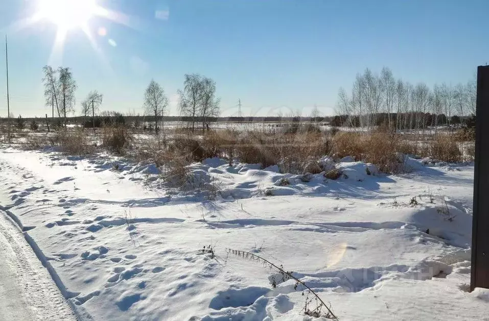 Участок в Курганская область, Курган Изумрудный кп, ул. Бирюзовая, 33А ... - Фото 2