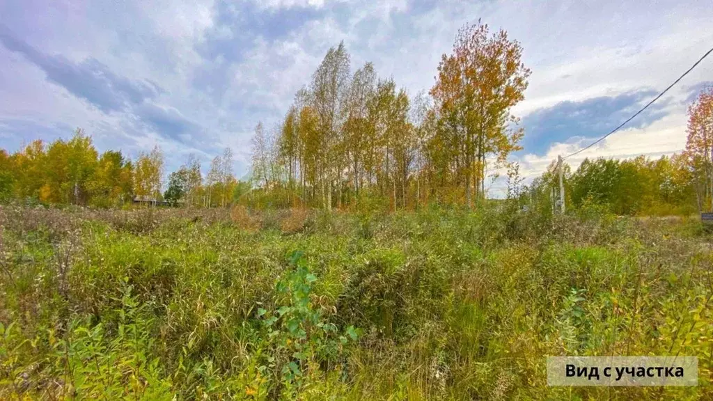 Участок в Ленинградская область, Всеволожский район, Рахьинское ... - Фото 0