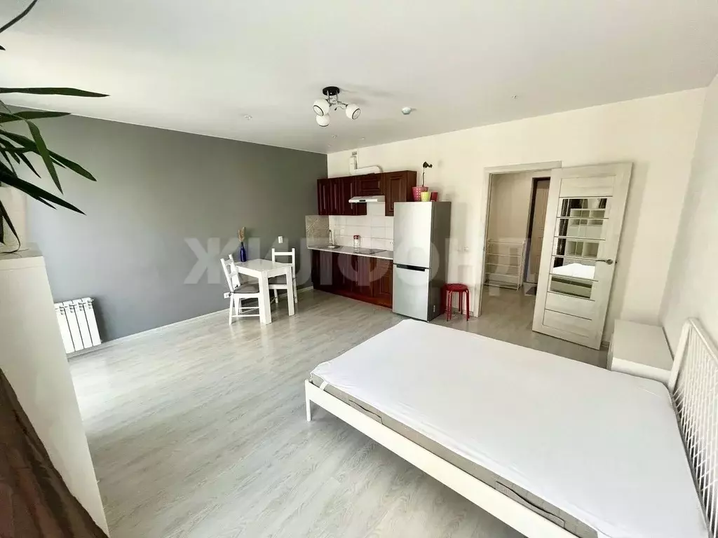 Студия Новосибирская область, Новосибирск Обская ул., 46/2 (31.0 м) - Фото 2