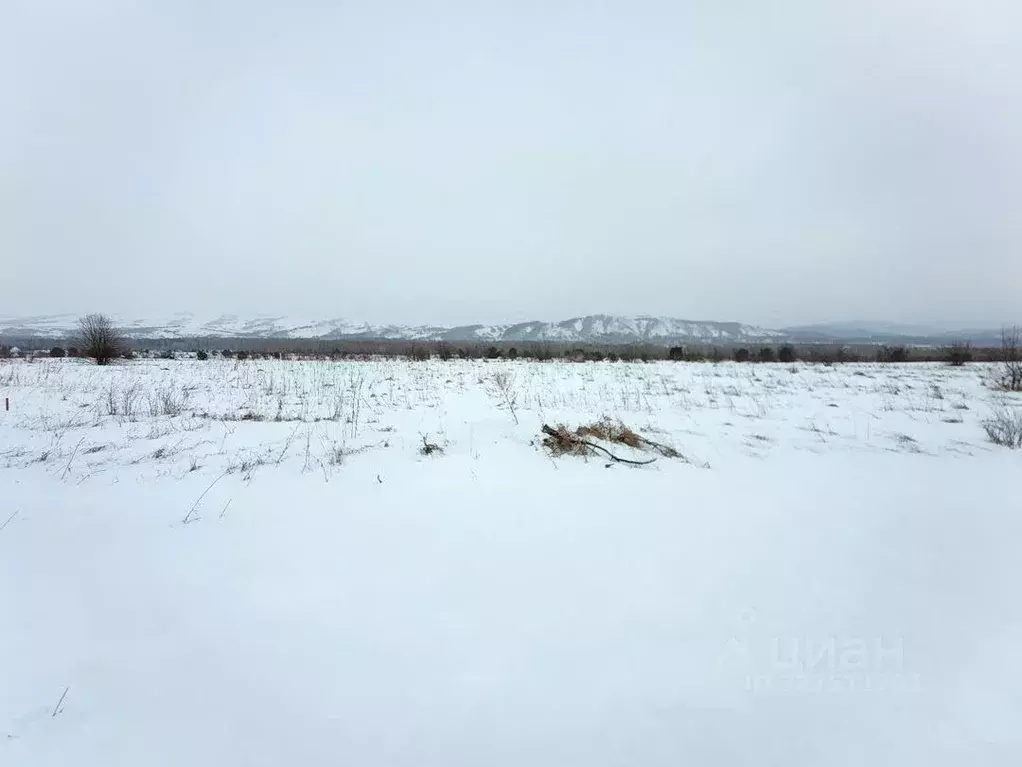 Участок в Алтайский край, Алтайский район, Айский сельсовет, ... - Фото 1
