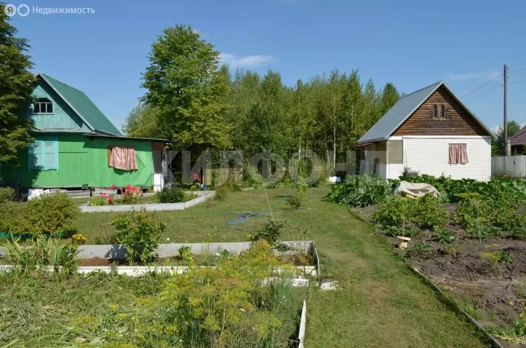 Дом в Тогучинский район, Репьевский сельсовет, село Репьёво (60 м) - Фото 0