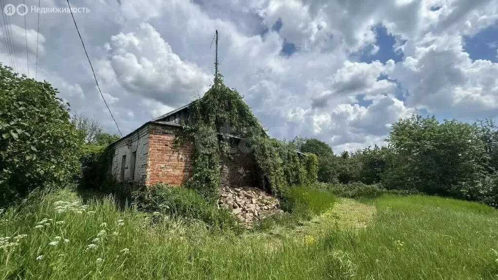 Дом в Щёкинский район, сельское поселение Крапивенское, деревня ... - Фото 1