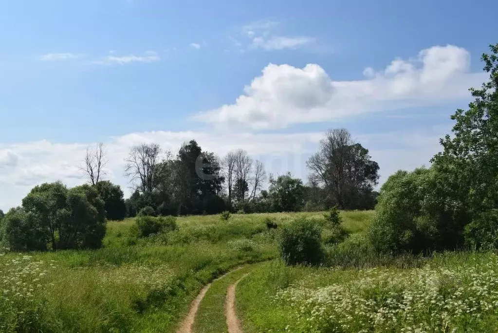Участок в Калужская область, Мосальский район, Людково с/пос, д. ... - Фото 2