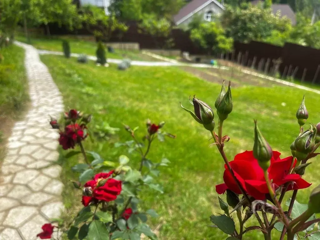 Дом в Краснодарский край, Сочи городской округ, с. Верхнениколаевское ... - Фото 1