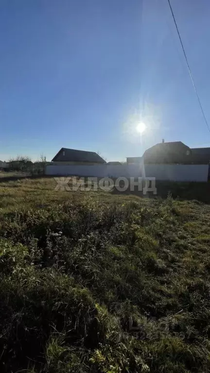 Участок в Воронежская область, Рамонский район, с. Ямное ул. Ягодная ... - Фото 1