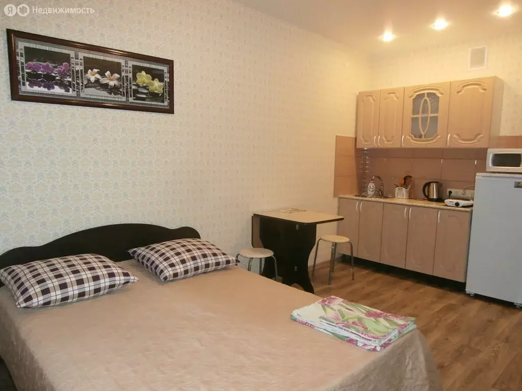 Квартира-студия: Иркутск, улица Гоголя, 80 (24 м) - Фото 1