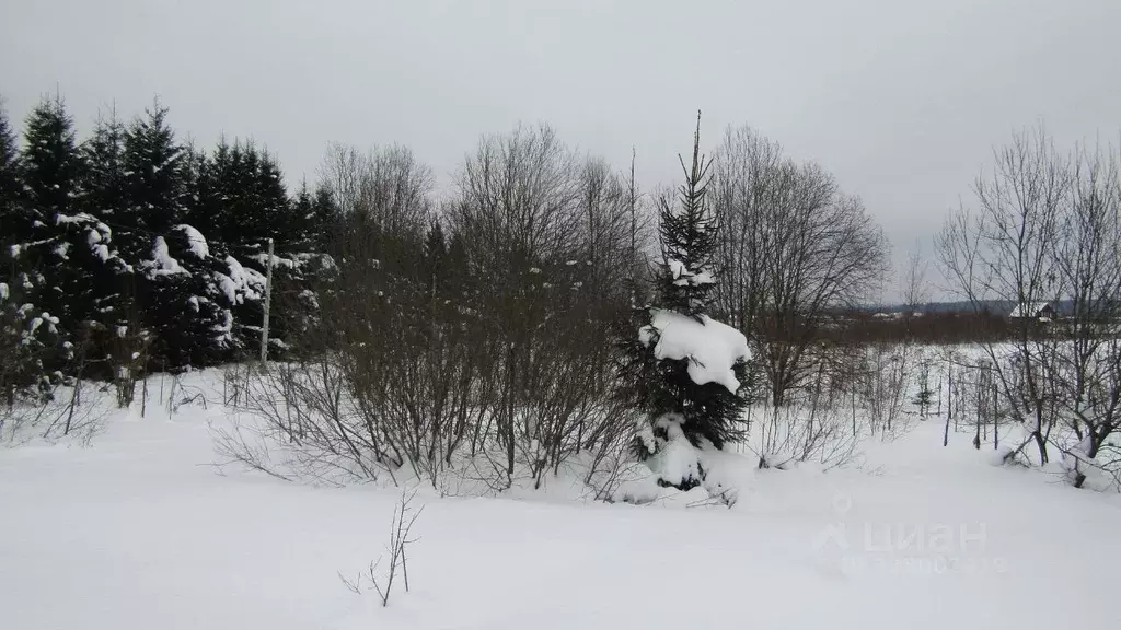 Участок в Московская область, Рузский муниципальный округ, д. Верхнее ... - Фото 2