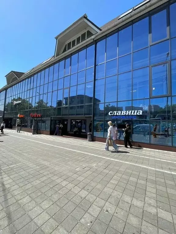 Помещение свободного назначения в Краснодарский край, Сочи Донская ... - Фото 1