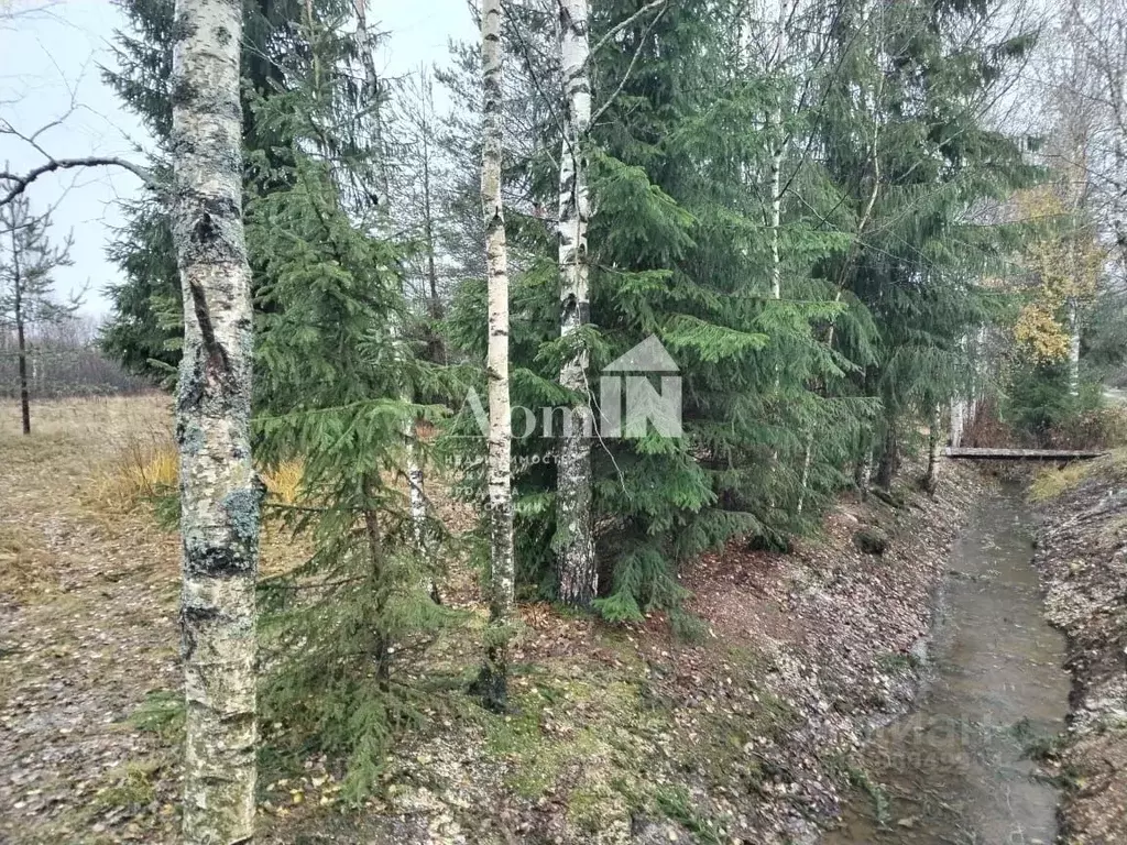 Участок в Ленинградская область, Всеволожский район, Лесколовское ... - Фото 1