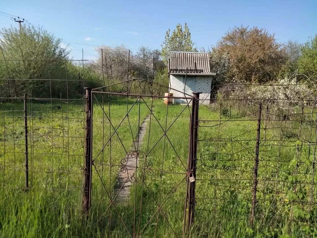 Дом в Белгородская область, Строитель Яковлевский городской округ,  ... - Фото 0