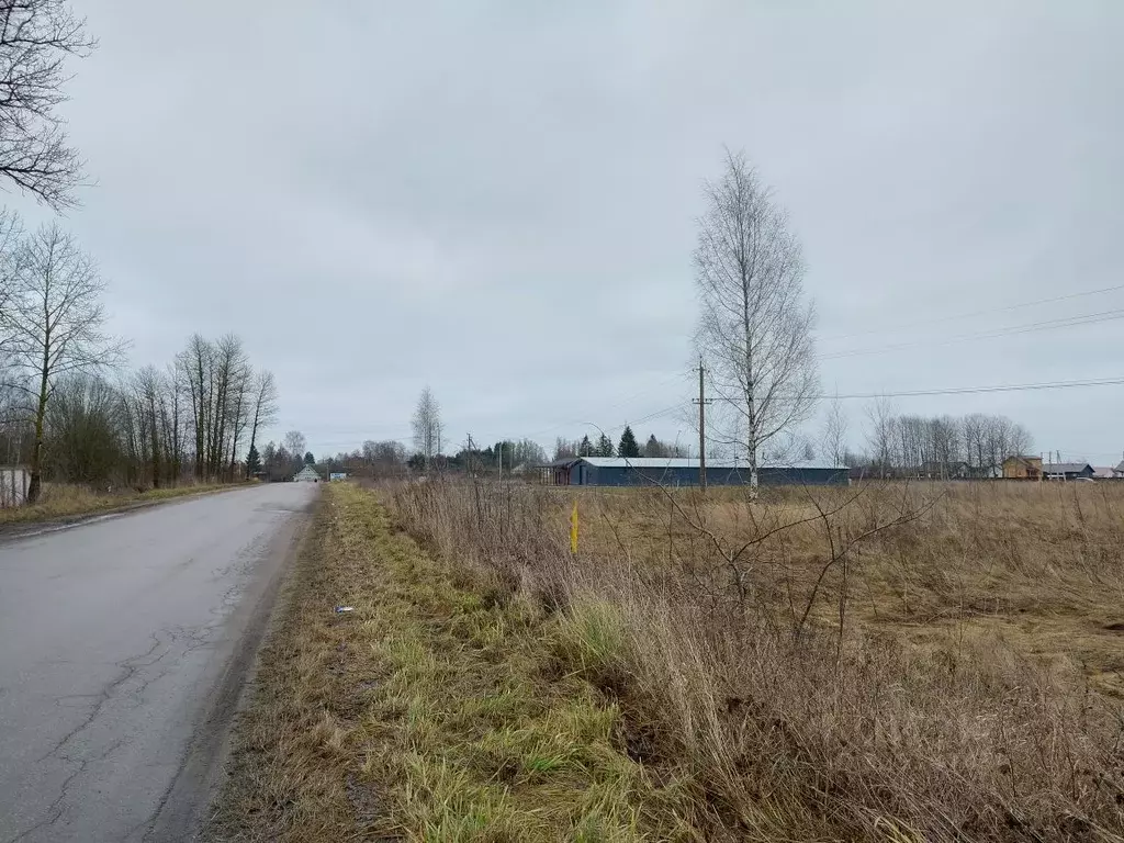 Участок в Псковская область, Псковский район, Логозовская волость  ... - Фото 1