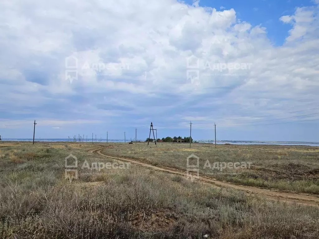 Участок в Волгоградская область, Среднеахтубинский район, Рахинское ... - Фото 2