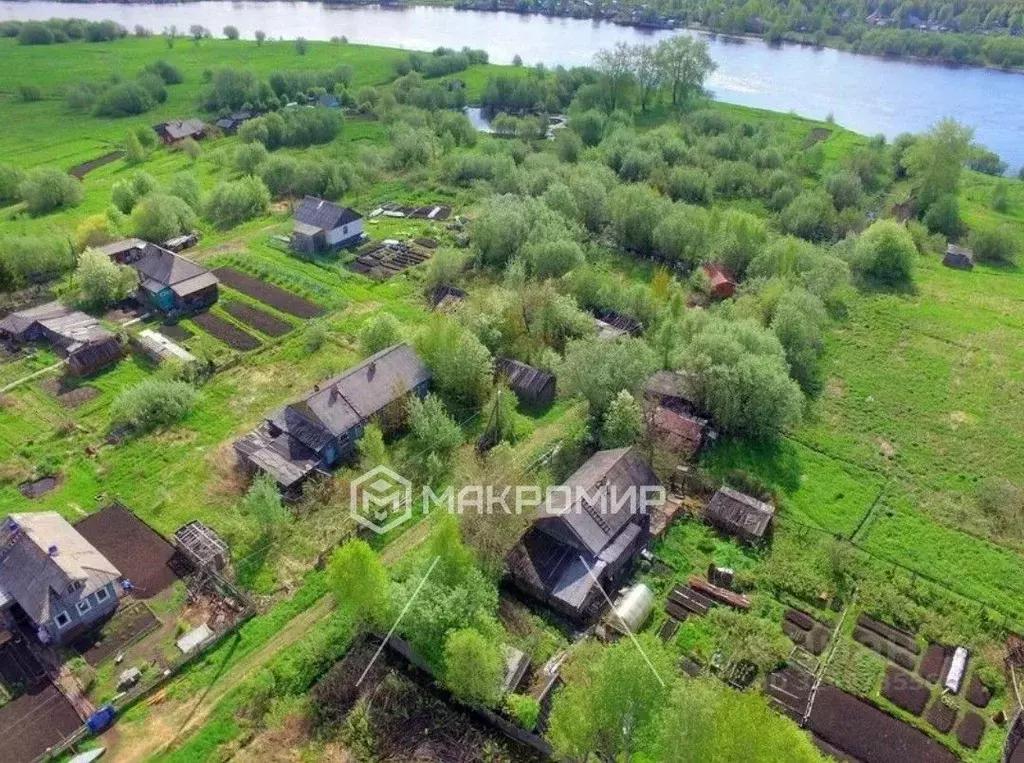 Участок в Архангельская область, Архангельск Бочага садовое ... - Фото 1