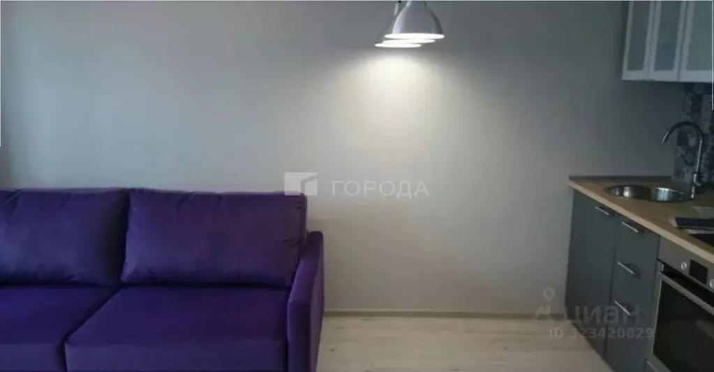 Студия Новосибирская область, Новосибирск ул. Семьи Шамшиных, 90/5 ... - Фото 2