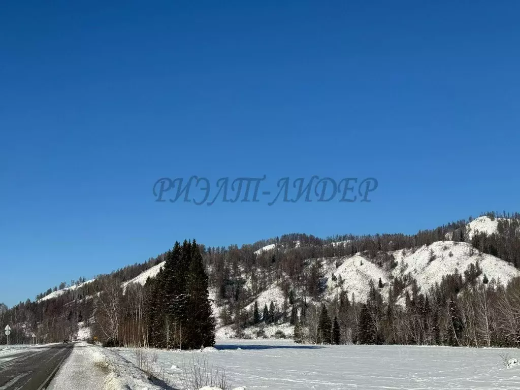 Участок в Алтай, Усть-Коксинский район, с. Курдюм  (54.0 сот.) - Фото 1
